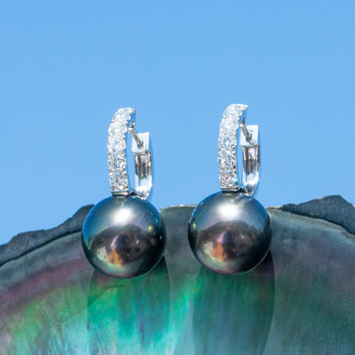 Tahitian Black Pearl Moissanite Diamond Earrings
