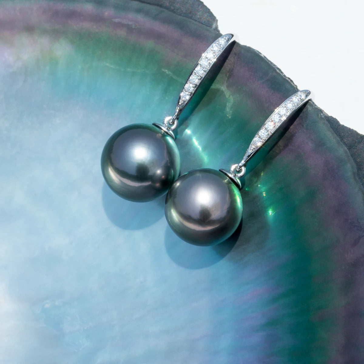 Holloway Jewellery Black Pearl Moissanite Earrings